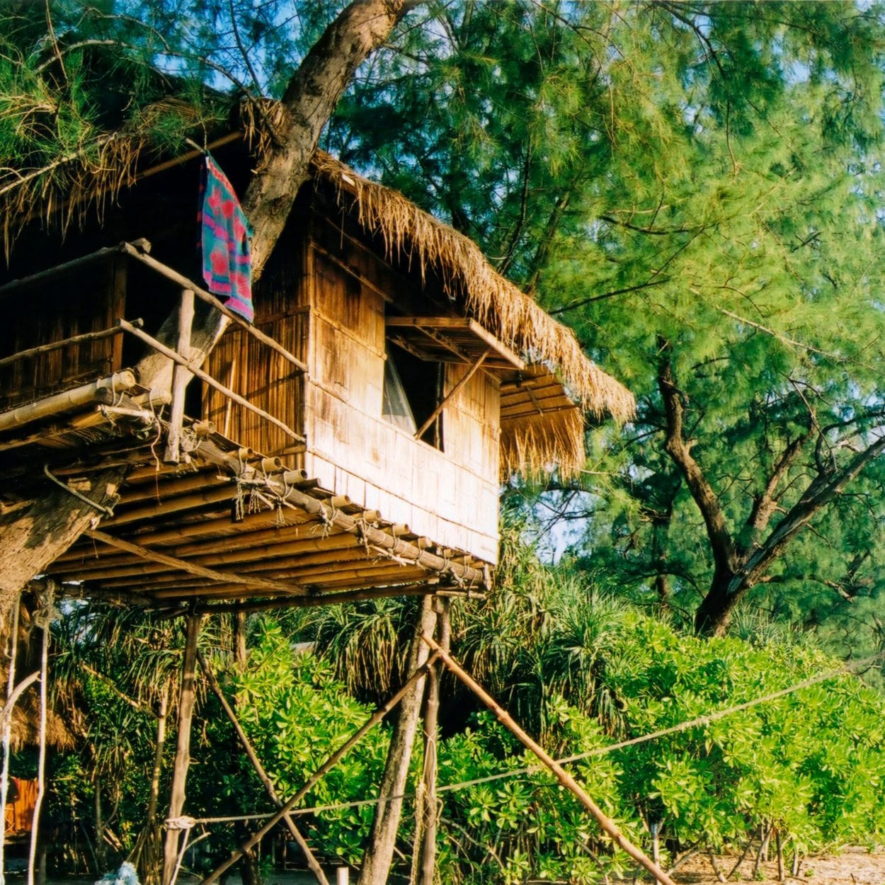 boomhutten glampinglife